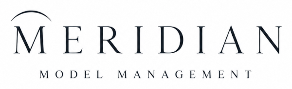 Meridian Model Management (Demo) logo